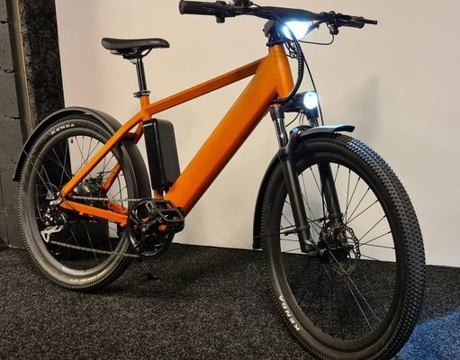 1000W 48V 14AH bateria oculta oculta E-MTB LCD display bicicleta de montanha elétrica para o seu