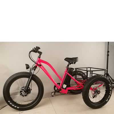 Bicicleta elétrica de 3 rodas para adultos de carga de 500W com borda de alumínio gorduroso e certificado EN71