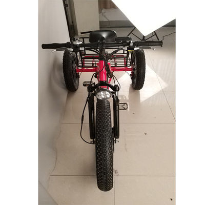Bicicleta elétrica de 3 rodas para adultos de carga de 500W com borda de alumínio gorduroso e certificado EN71