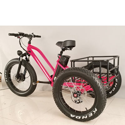 Bicicleta elétrica de 3 rodas para adultos de carga de 500W com borda de alumínio gorduroso e certificado EN71