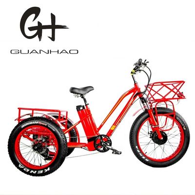 750W Motor dianteiro 4.0 Pneus neve EN15194 Cargo Triciclo elétrico de carga com travão a disco