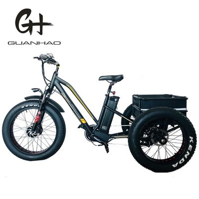 750W Motor dianteiro 4.0 Pneus neve EN15194 Cargo Triciclo elétrico de carga com travão a disco