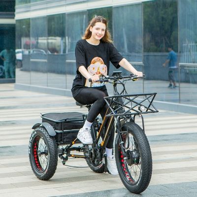 750W Motor dianteiro 4.0 Pneus neve EN15194 Cargo Triciclo elétrico de carga com travão a disco