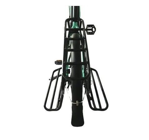 20 &quot;Quadro de liga de magnésio Ananda Bafang MID Drive Bicicleta elétrica para família ou entrega de carga
