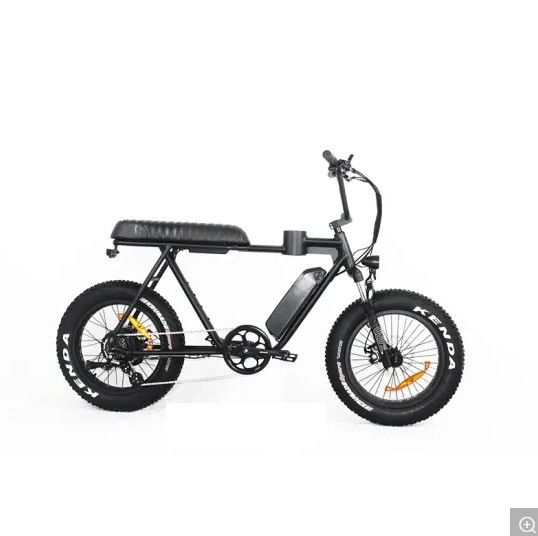 Quadro de liga de magnésio 2020 20 polegadas de pneu gordo bicicleta elétrica de neve cruzeiro de praia EL-DN2011Z
