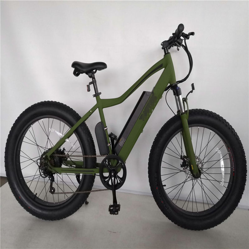 16.7 Ah Capacidade da Bateria Bicicleta de Montanha Elétrica para Adultos 26 polegadas de Garrafa Gordo Ebike