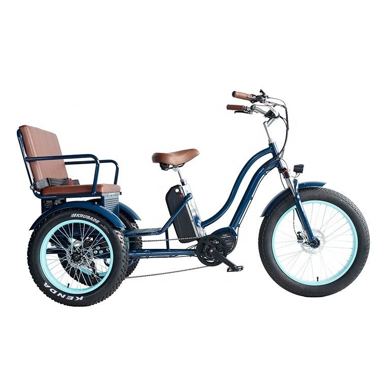 Rickshaw elétrico com bateria de lítio de 48V 750W 17AH e pneu grande