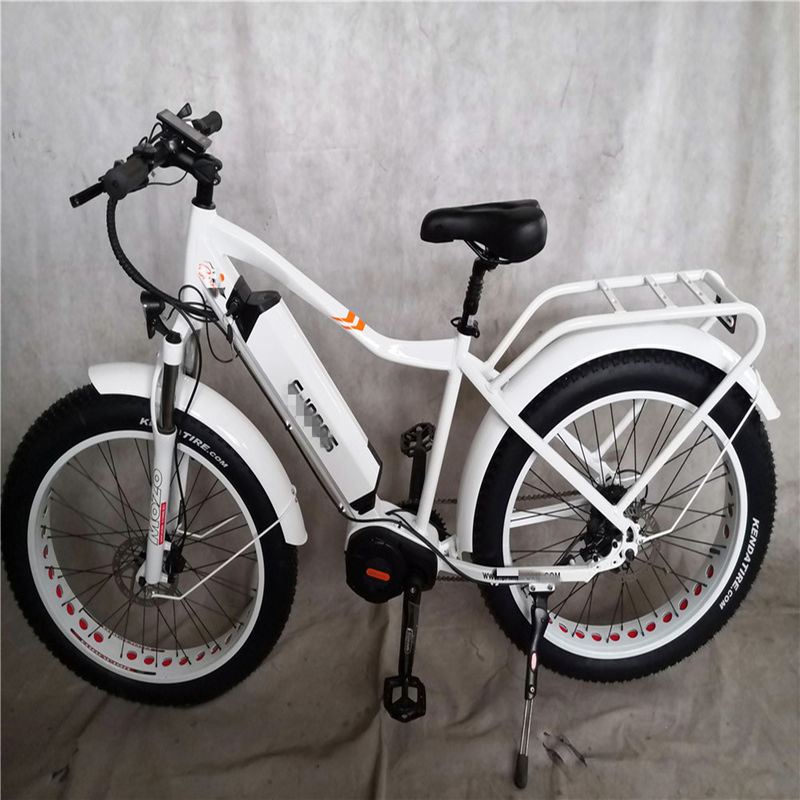 1000W Bafang Mid Drive Motor Alloy Rear Carrier Central Bike elétrica com padrões