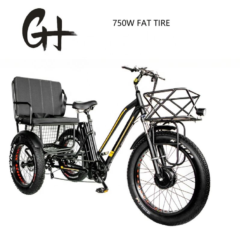 Bafang 750W Triciclo elétrico com pneu gordo E Três rodas e assento do passageiro