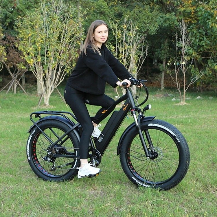 48V 1000W 17AH Bateria de lítio OEM EN15194 CE Customizado Elétrico MTB Mountain Fat Pneumatic Bike