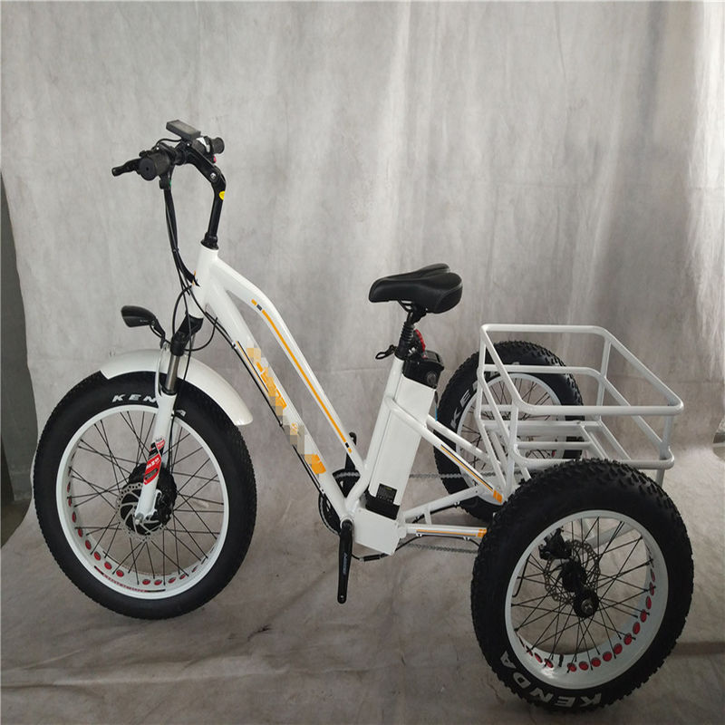 750W Bicicleta Elétrica 3 Rodas Pneus Gordos Adultos E Trike Cargo Torque 70-80 Nm Travas de disco