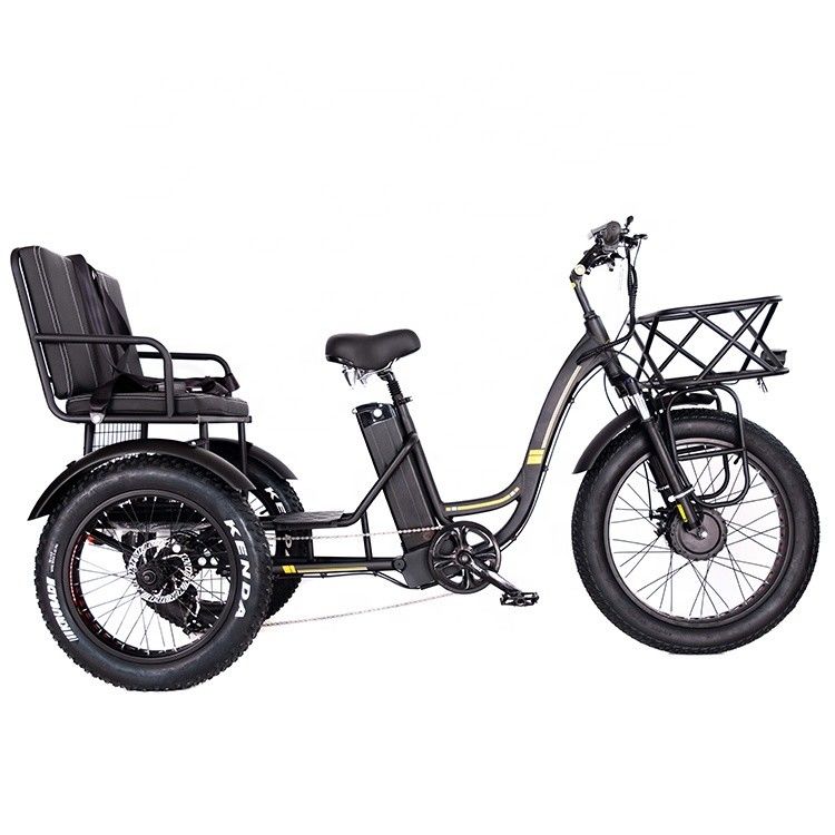 Triciclo elétrico leve de alumínio 48V 750W 21AH 50KM/H para passageiro adulto