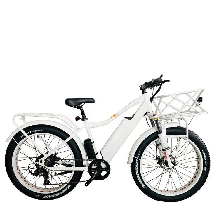 CE UL2849 4.0 Snow Big Fat Tire Adult Men Electric Mountain Hybrid Bike 48V 1000W 50KM/H
