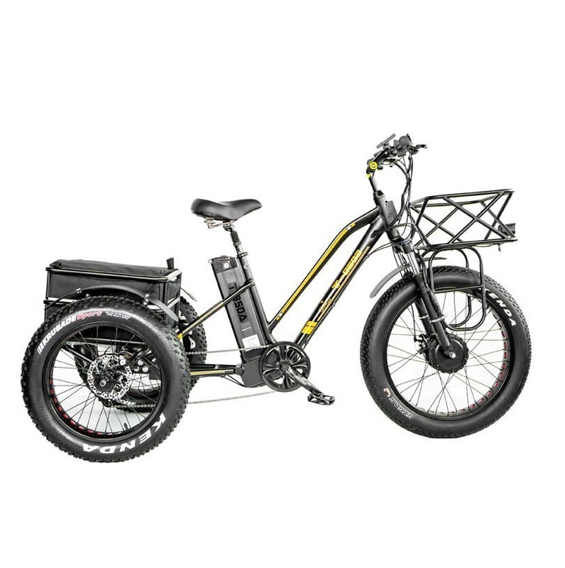 Freio a disco 750W Triciclo elétrico de carga pneu gordo 3 rodas E Trike para viagens de longa distância