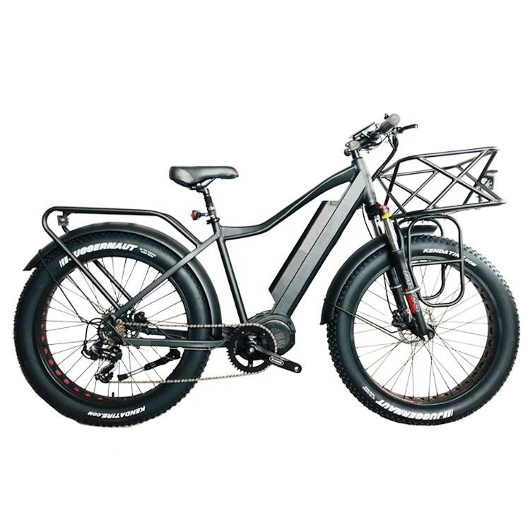 Mercado dos EUA EN15194 CPSC 48V 1000W 17AH bicicleta de montanha elétrica com motor médio Bafang