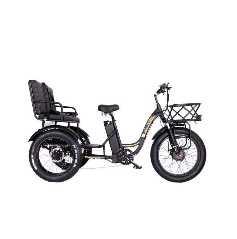 16.7 Ah Capacidade da bateria 750 W RICKSHAW ELÉTRICO TRICYCLE DE DEVÍO PESSOAL