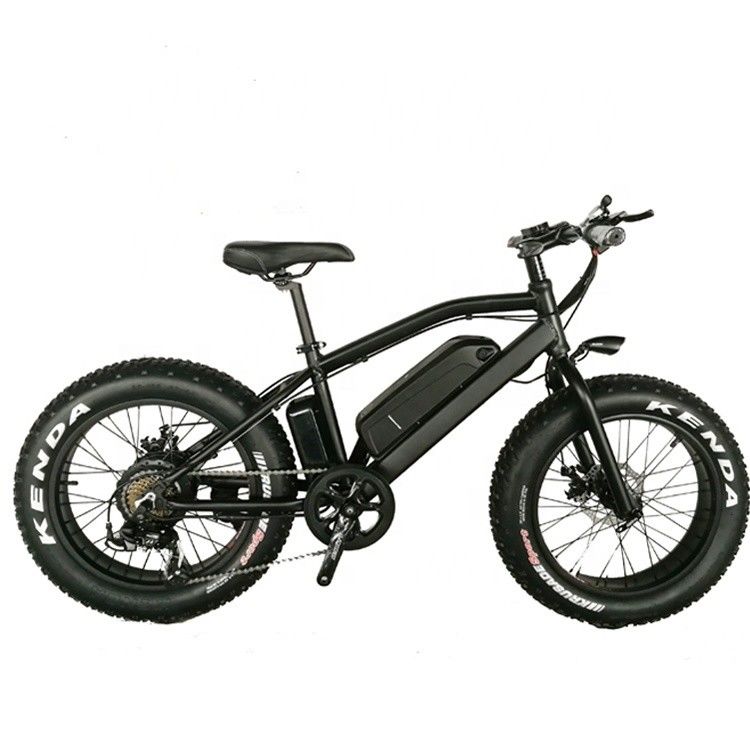 20 &quot; Alumínio Alumínio Frame Boy Mini 48V 4.0 EUA CE 750W Kid Mountain Bike Elétrico