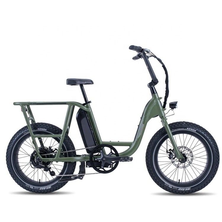 48V 1000W 32MPH Electric Hybrid Cargo Bike com 20 &quot;4.0 Fat Tire e Torque de 80-90 Nm