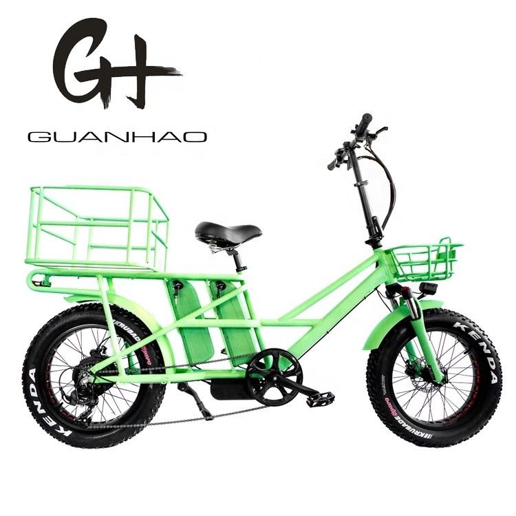 Suspensão de 20 polegadas CE OEM 48V 34AH 1000W 8FUN MOTOR
