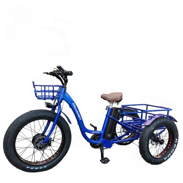 Conduzindo Tipo Elétrico 24&quot;x4.0 Fat Tire Triciclo Elétrico de Carga com Motor de 48V 1000w