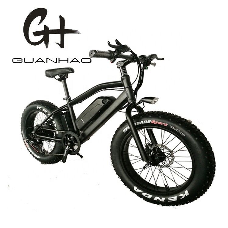 750W 20inch Fat Tire Mini Mountain Electric Bike ZOOM Stem Range por Potência 10-30 km