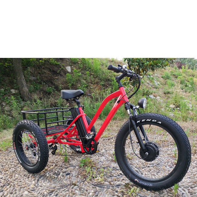 Bicicleta elétrica de 3 rodas para adultos de carga de 500W com borda de alumínio gorduroso e certificado EN71
