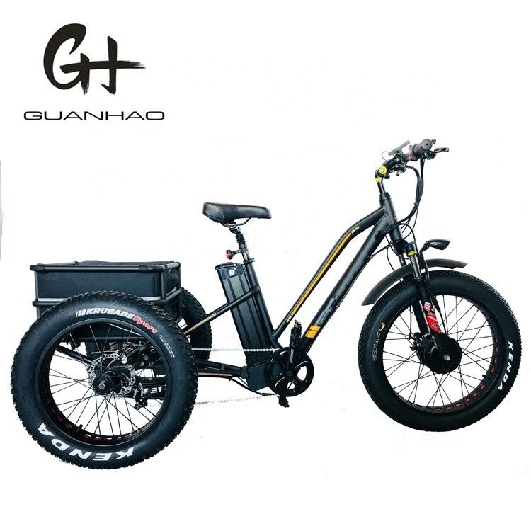750W Motor dianteiro 4.0 Pneus neve EN15194 Cargo Triciclo elétrico de carga com travão a disco